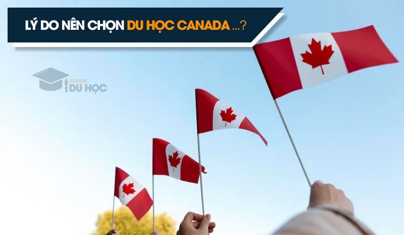 Kinh nghiệm hu học Canada